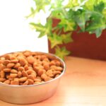 子犬の餌（ドッグフード）の与え方は？子犬におすすめ餌5選