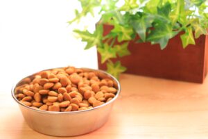 子犬の餌（ドッグフード）の与え方は？子犬におすすめ餌5選