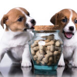 人気のドッグフードを徹底紹介。安心・安全なものはどれ？