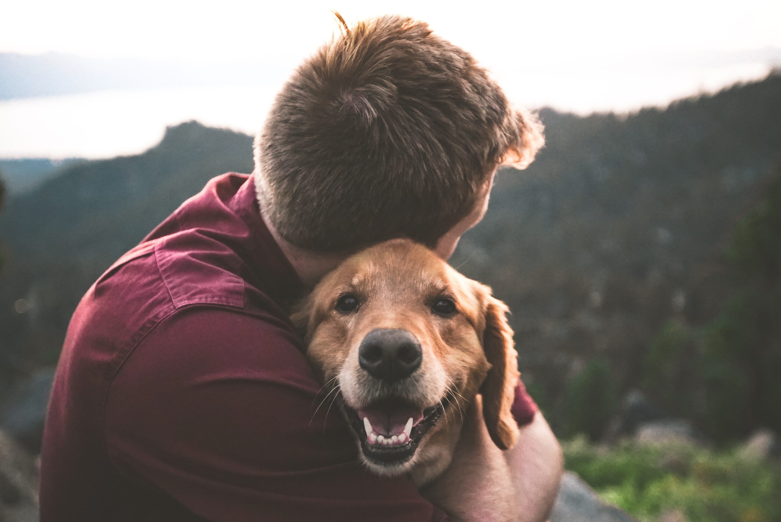 犬の名前はどう付ける？人気の犬の名前ランキングを紹介