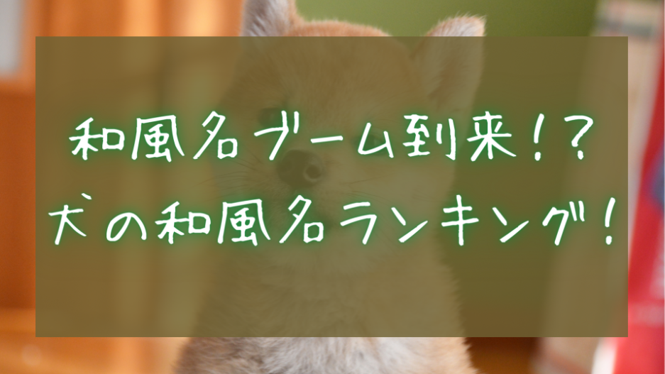 【犬の名前】和風名ブーム到来！？犬の和風名ランキング！