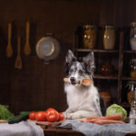 グルテン（グレイン）フリーのドッグフードって？メリット・デメリットは？